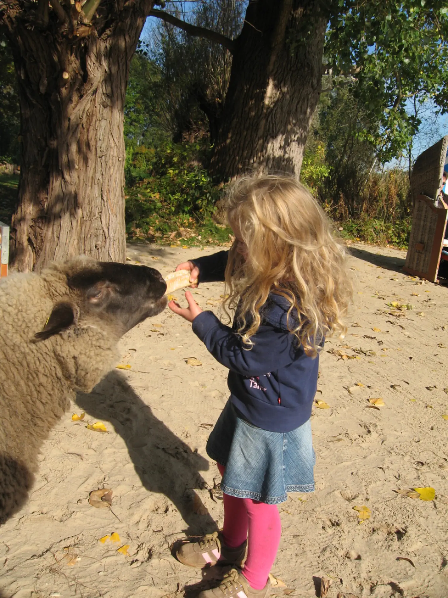 142-tiere_1_foto_gernot_nalbach